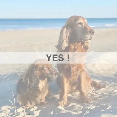 Apartmán Ersextius, Ggb2,